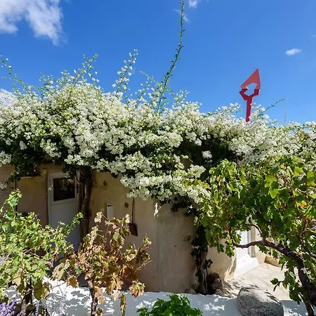 The Olive Mill *